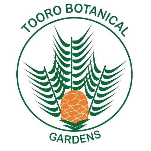 tbg png logo