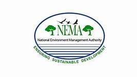 Nema