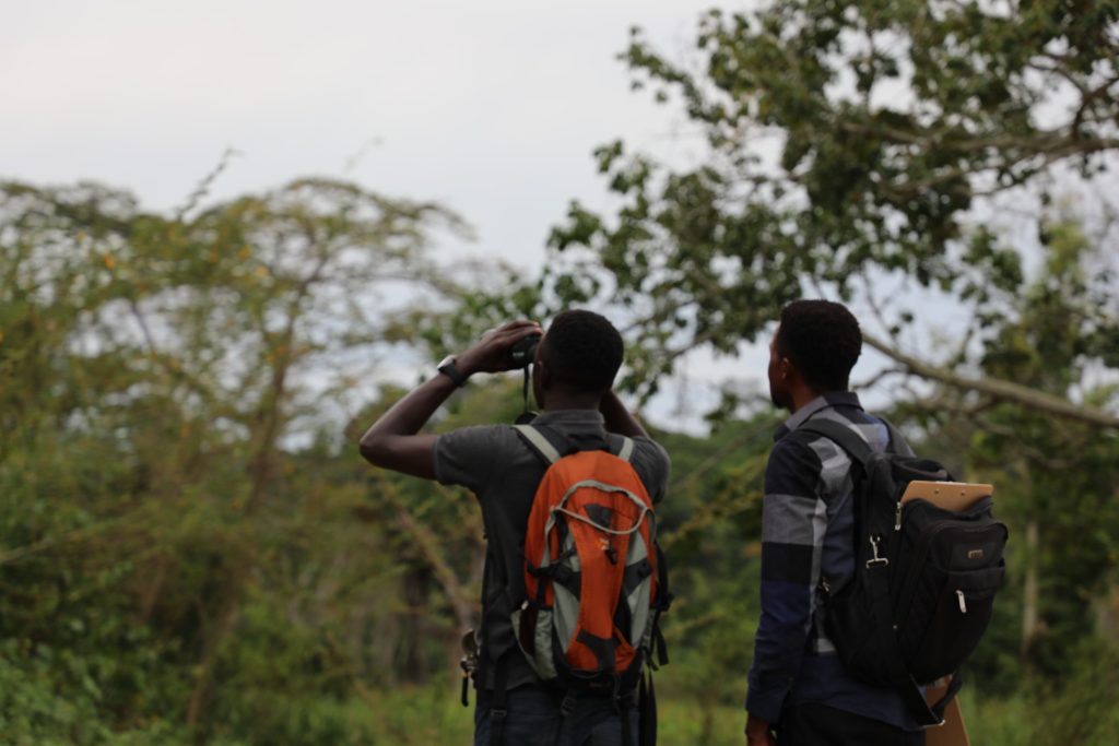 GBS bird survey team