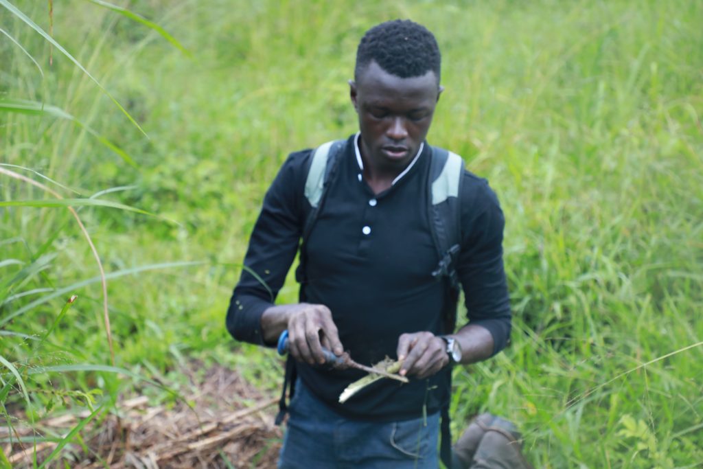 Beetle traping at Bethany land institute