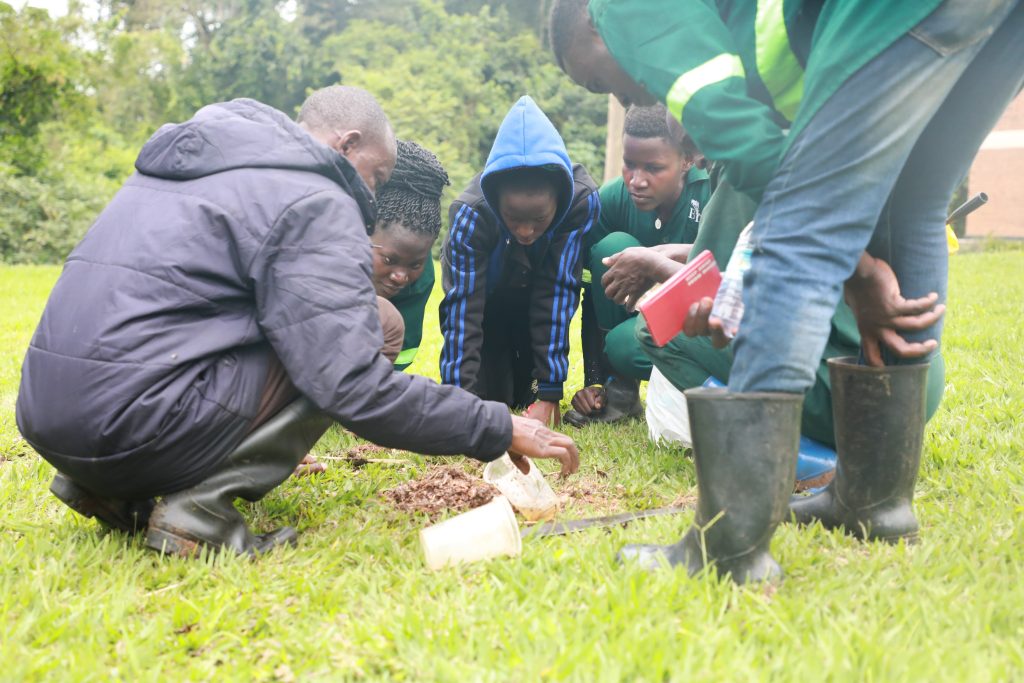 Beetle traping at Bethany land institute