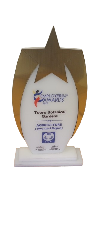 Employee award